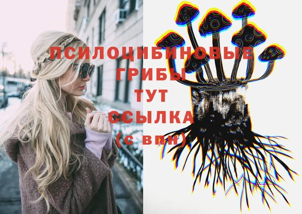 прущая мука Алзамай