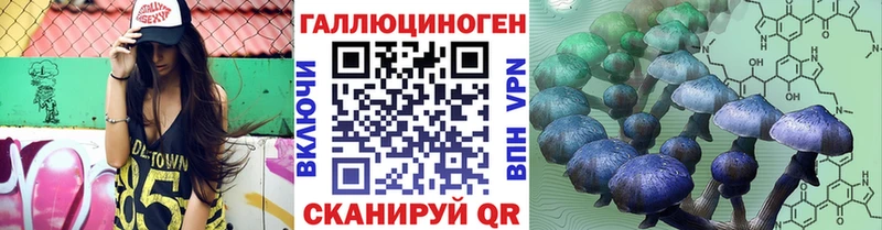 купить mega ТОР Галлюциногенные грибы Cubensis Чердынь