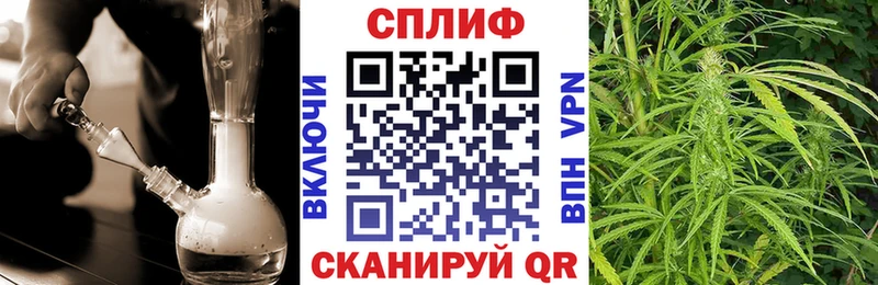 Каннабис MAZAR Чердынь